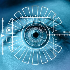 Companies House Identity Verification
