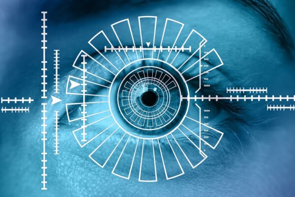 Companies House Identity Verification