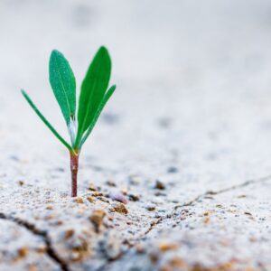 how to develop a business growth strategy